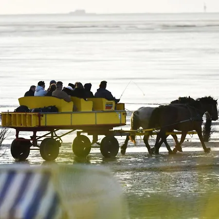 아파트 Strandhochhaus Shb1 *